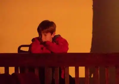 The Lion, the Witch and the Wardrobe